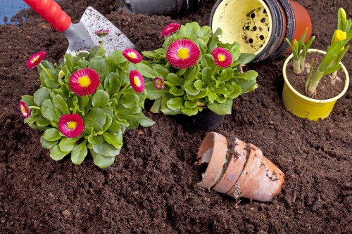 Gardening service terms and conditions introduction with image placeholder