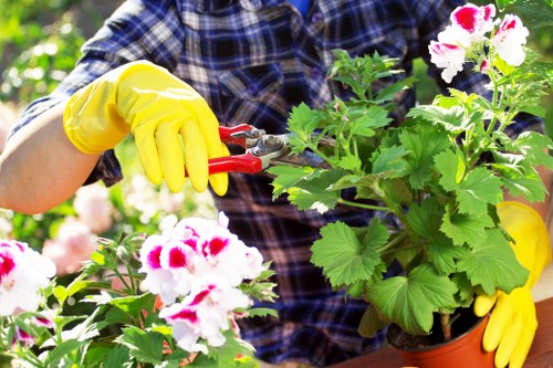Charity donation and reuse items from a garden clearance