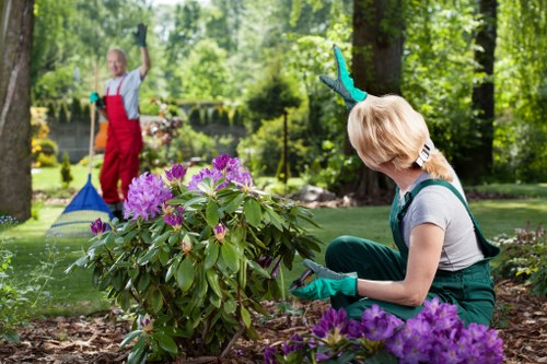 Removal of green waste during garden clearance in Ickenham