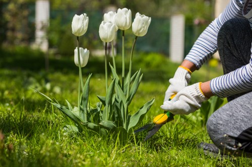 Professional garden clearance improving a property in Ickenham