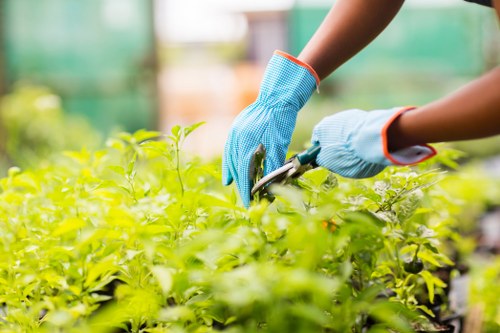 Reporting channels for modern slavery concerns in gardening services