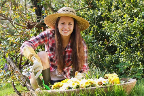 Lawn mowing and hedge trimming in Ickenham