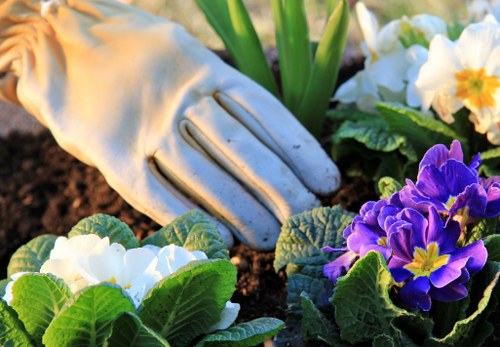 Careful hedge, lawn, and border maintenance in Ickenham