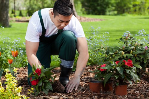 Privacy-focused suburban garden landscaping in Ickenham