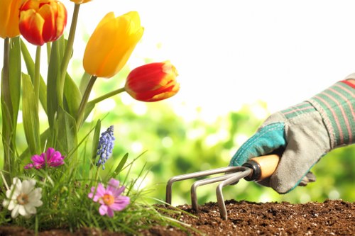 Lawn care and garden maintenance services in Ickenham