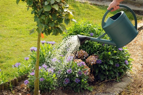 Improving patchy grass with lawn care in Ickenham