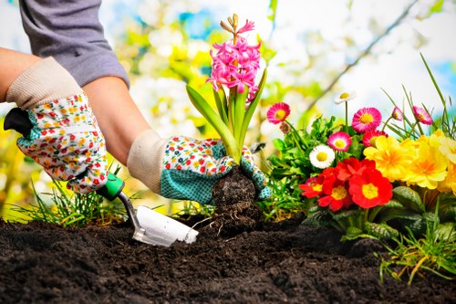 Soft landscaping with shrubs and lawn in Ickenham