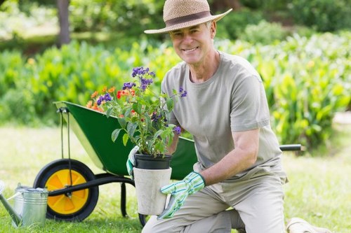 Close-up of mowing as part of lawn care in Ickenham