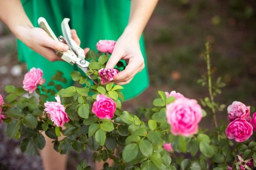 Healthy lawn and planting in an Ickenham garden