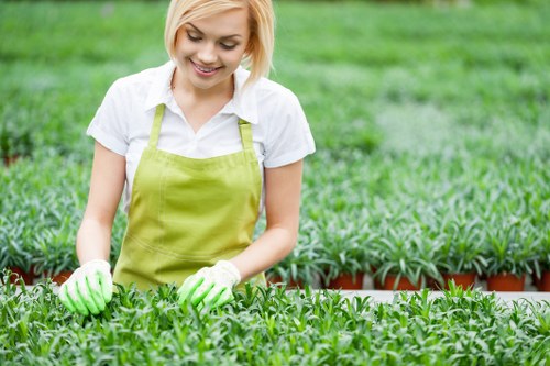 Tidy patios and landscaped garden maintenance in Ickenham