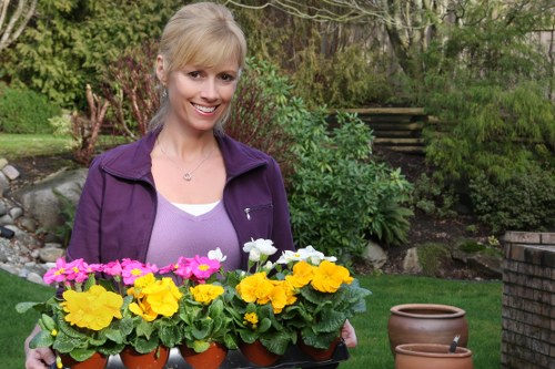 Trained gardening staff using protective equipment in Ickenham