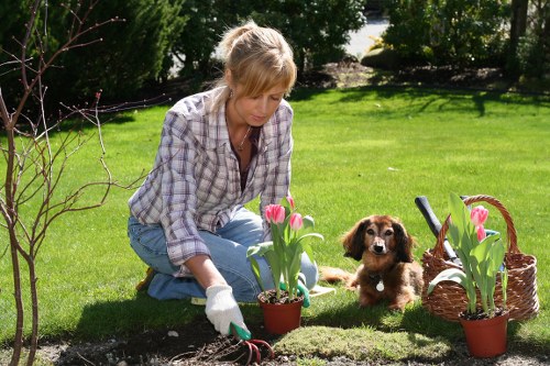 Local gardeners improving a landscaped outdoor space