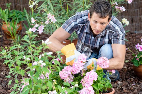 Balanced garden care and seasonal maintenance in Ickenham