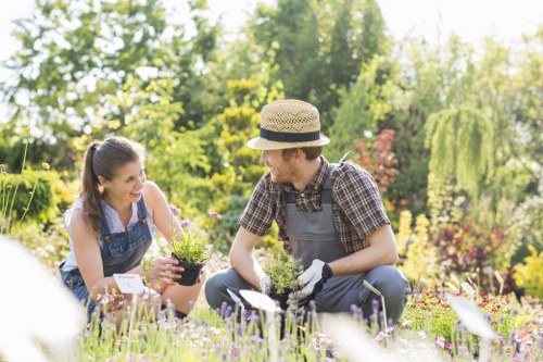 Illustration for reviewing a gardening complaint fairly