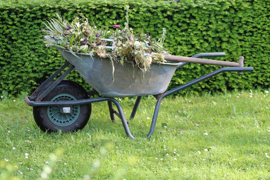 Gardeners Ickenham same day garden rescue UB10