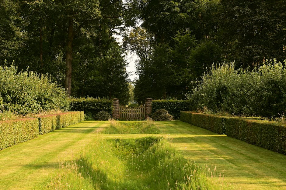 A lush garden scene featuring a well-maintained, vibrant green lawn bordered by a variety of colorful flowering plants and shrubs. On the left side, tall pink hollyhocks and other flowering perennials